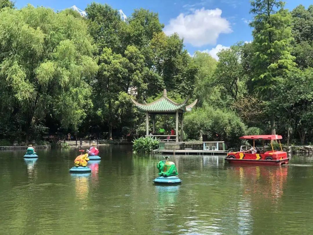 魯迅公園水體治理工程完工啦,水體自淨能力增強