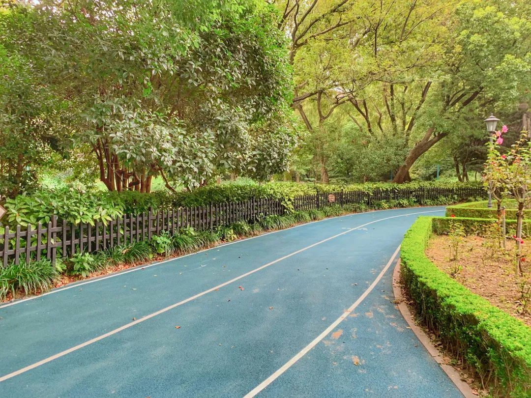 中山公园健身步道更新!有空去走走吧