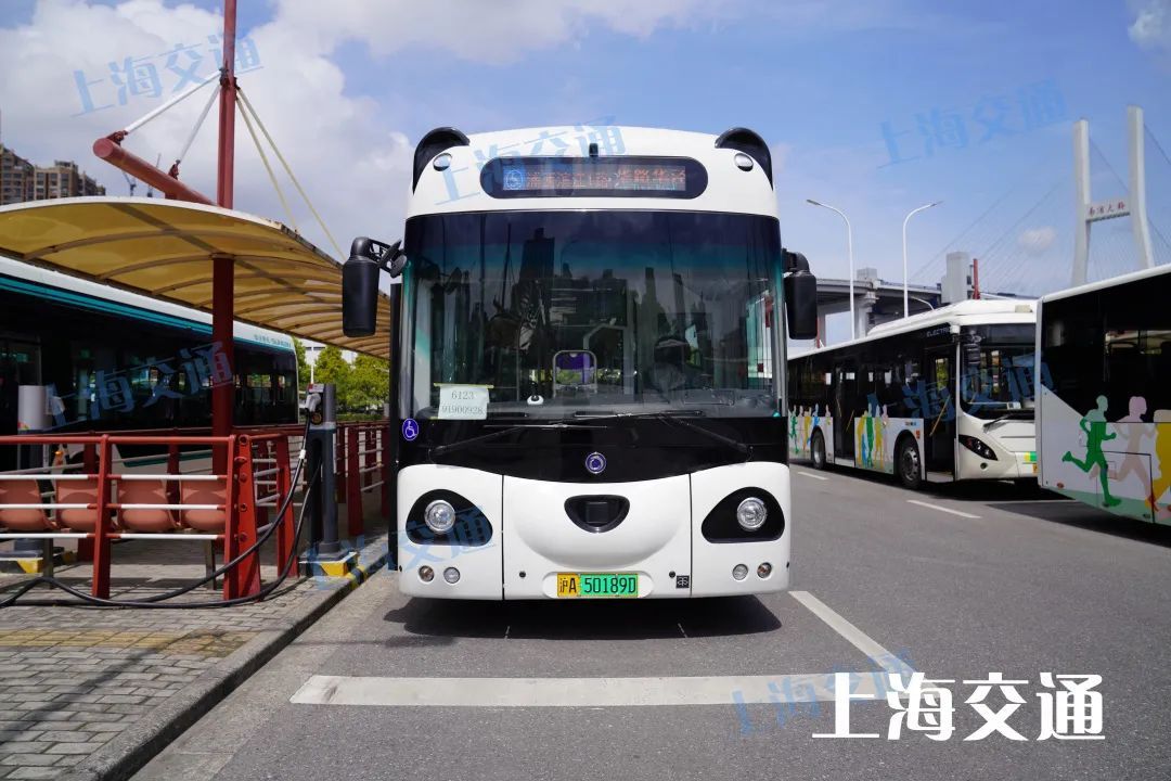 绿的红的蓝的黑的粉的……上海公交你pick哪种色号?