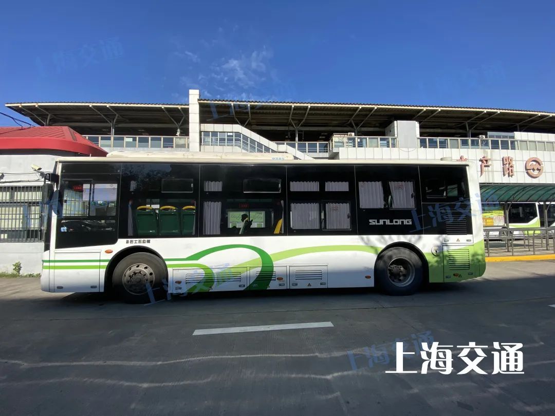 绿的红的蓝的黑的粉的……上海公交你pick哪种色号?