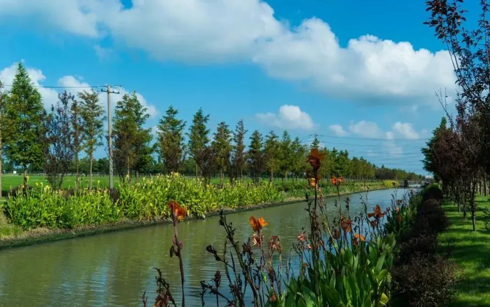 河岸綠植茵茵 精心打理的河道 是一條條流動著的亮麗風景線 今天