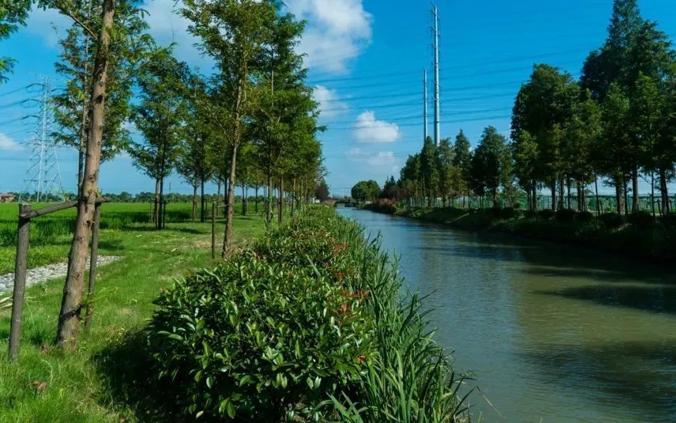 跟着小松一起来到小昆山镇 看看这里的河道水清景美 01 荡湾庙泾港