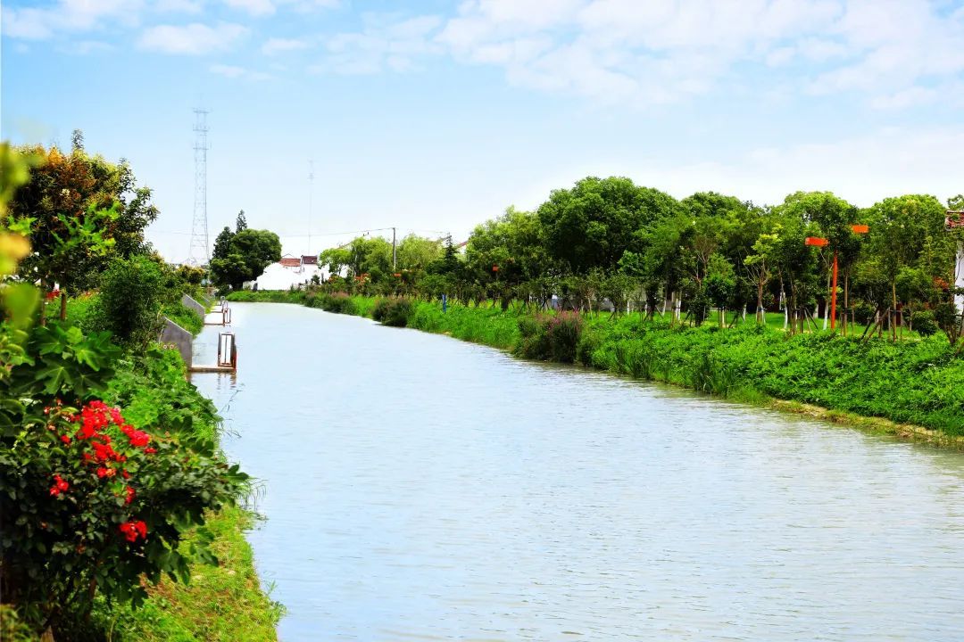 浦南运河作品展示扫描下方二维码投票参与方式即日起至2021年8月20日