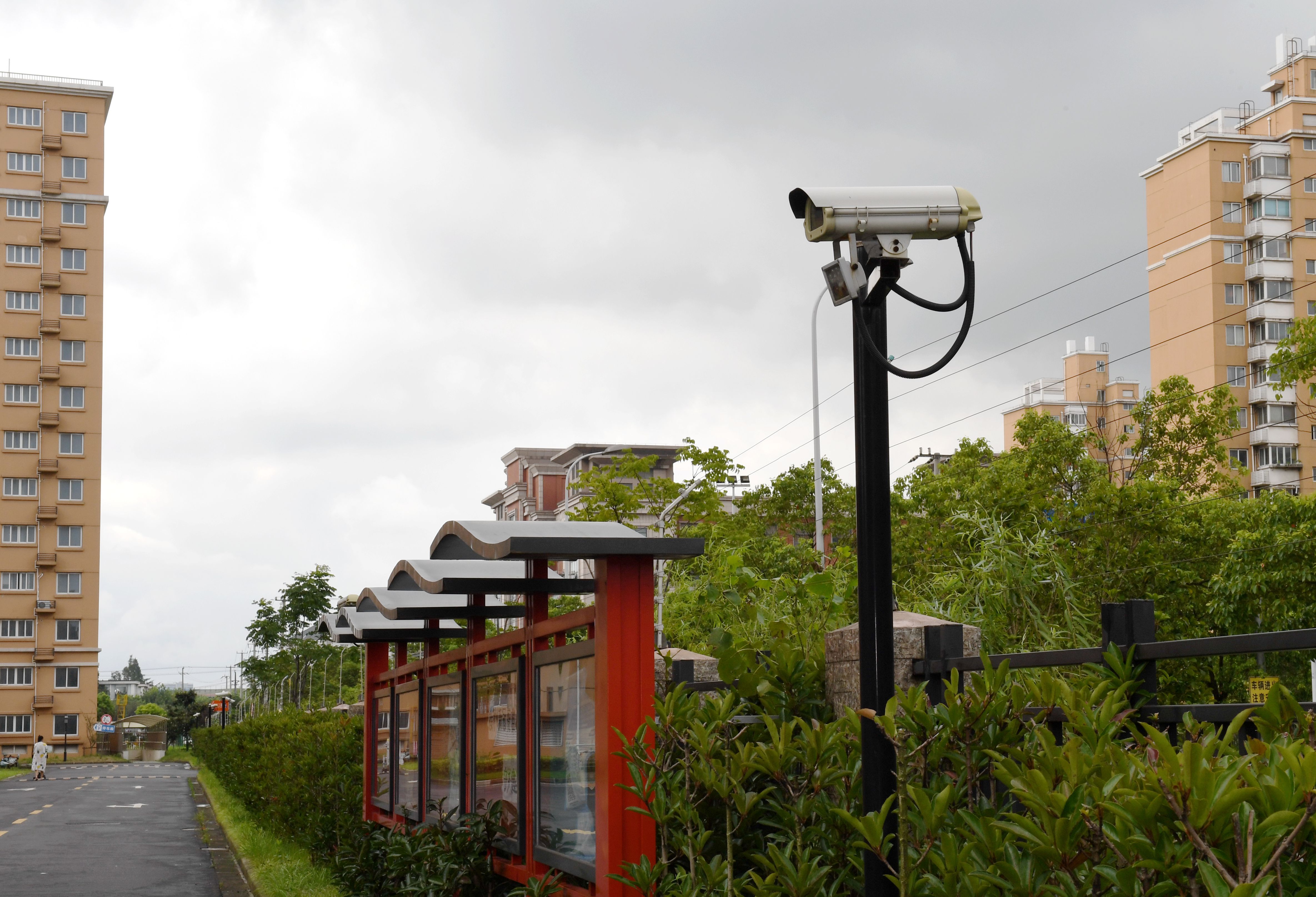 月浦实现监控探头全覆盖 安全保障得提升