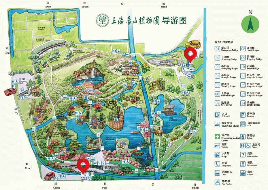 马兜铃"做媒",辰山迎来几位新"游客"