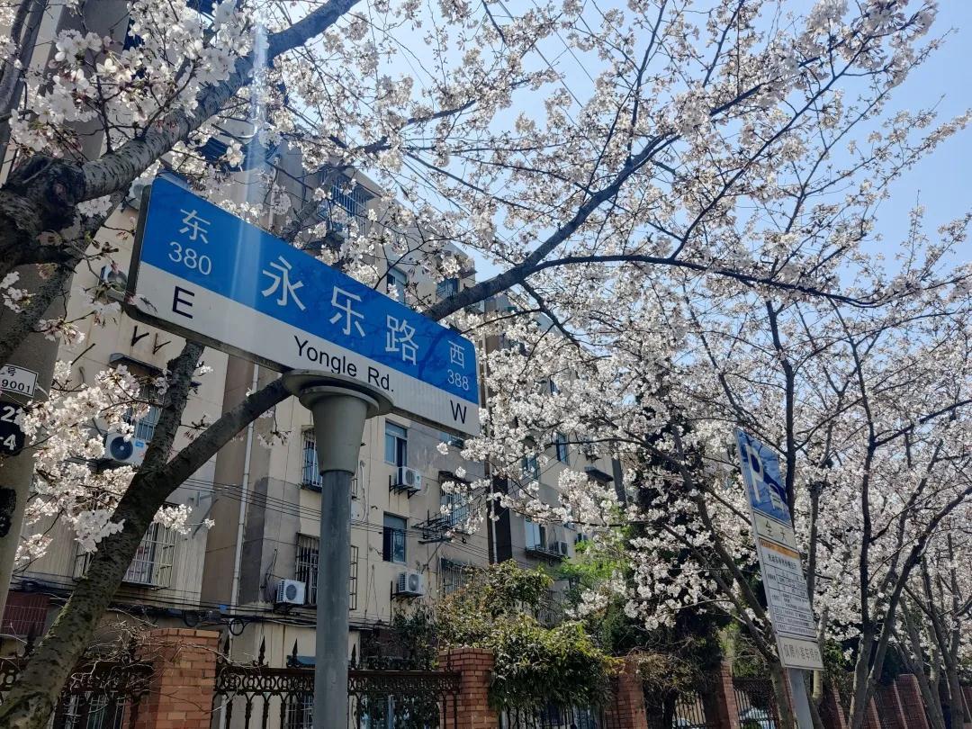 以下是部分花道 永乐路(永清路-淞宝路)