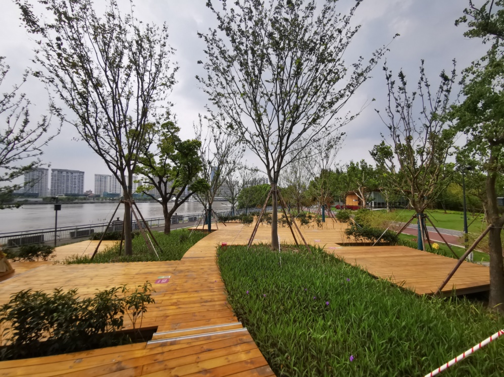 耀华滨江绿地改造完成,快来搭建帐篷亲近自然