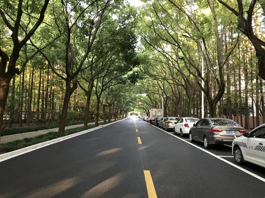 上海金山林盛路图片