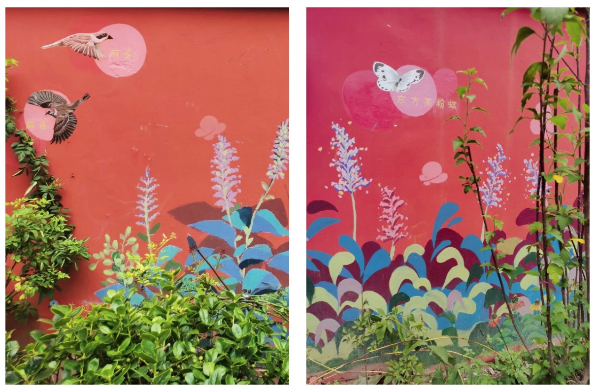 衔接生境花园"蝶踪"的概念,以宣传保护生态营造更美好的社区生活为