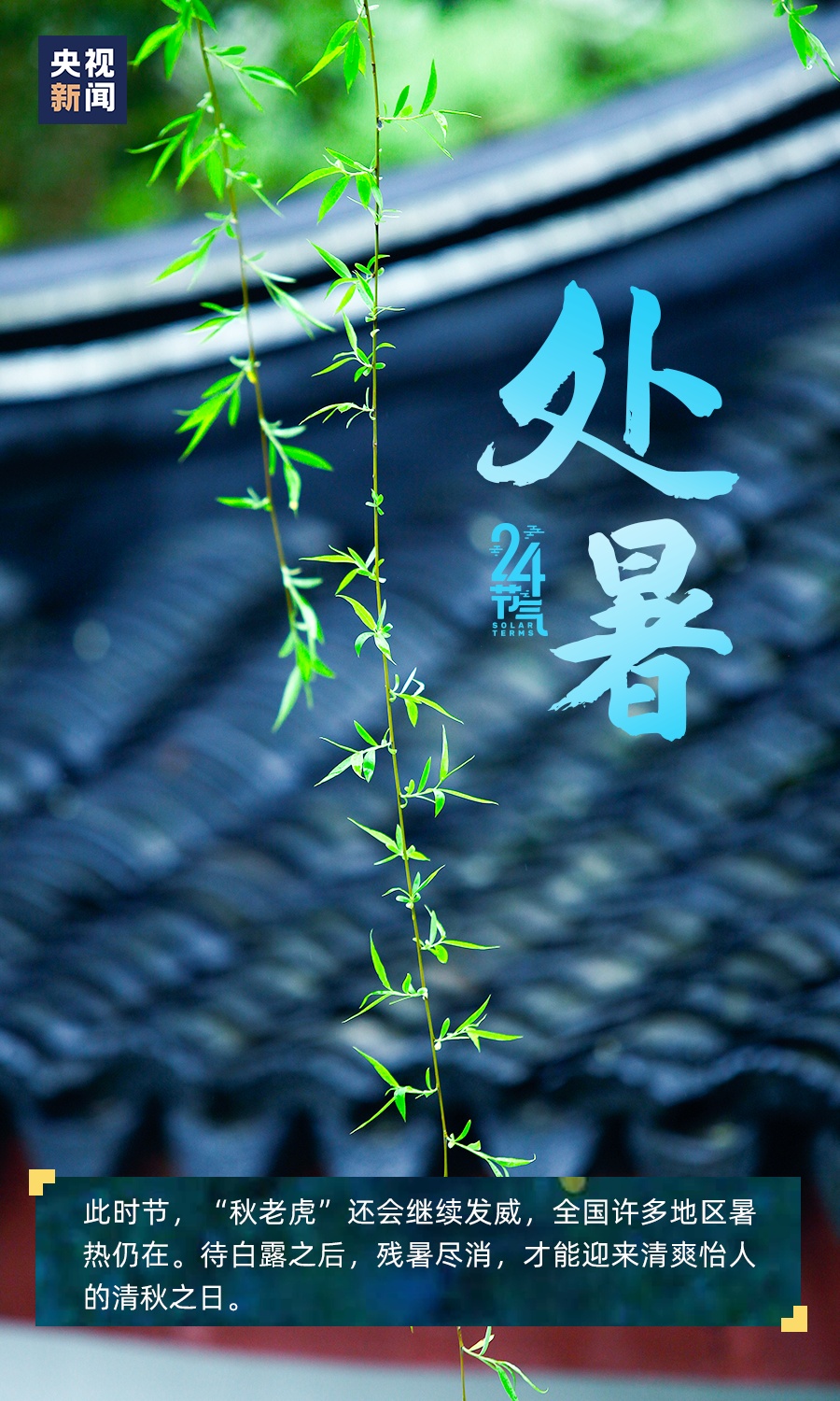 【节气】今日处暑,终于要凉快了!