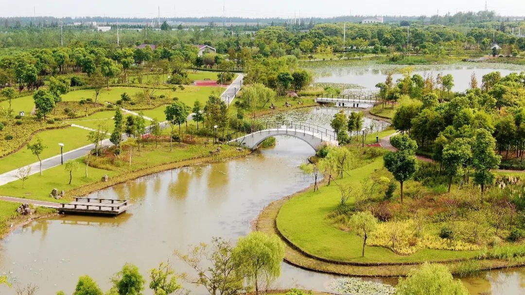 绝绝子!一起来看航拍镜头下海湾镇的星火公园有多美