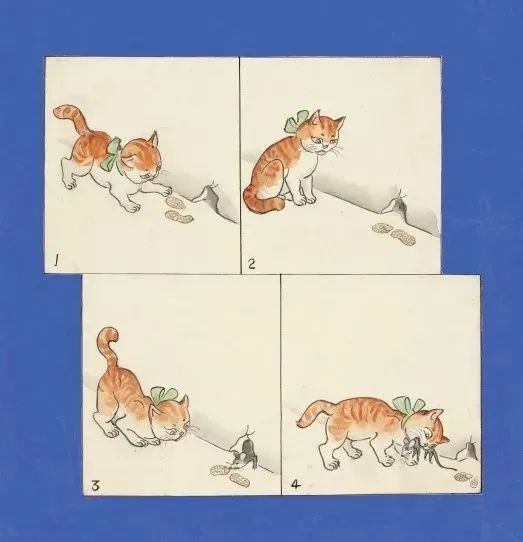 好书·推荐 | 家有一"猫",如有一宝