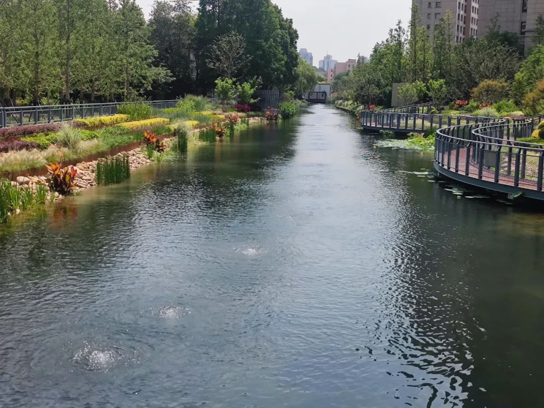 了蚂蚁浜景观提升项目,新建了河道亲水平台,对沿河绿化景观进行了改造