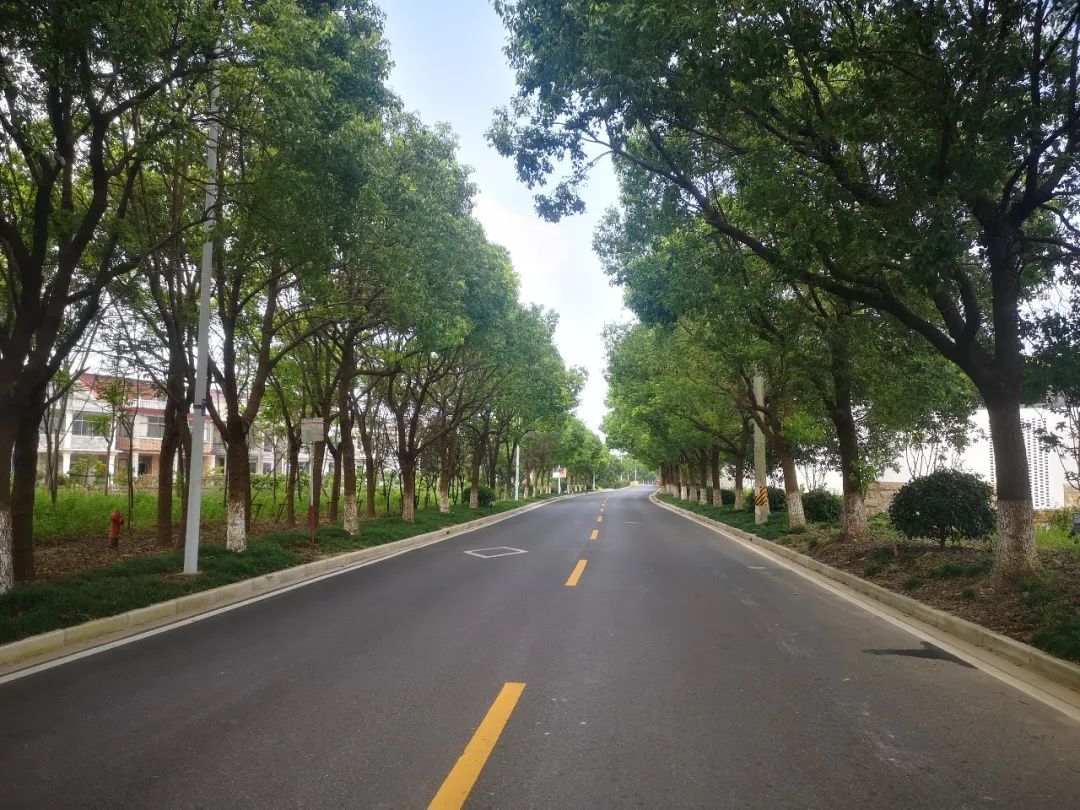 "城市乡村·空间蝶化"奉贤最美乡村路由你决定