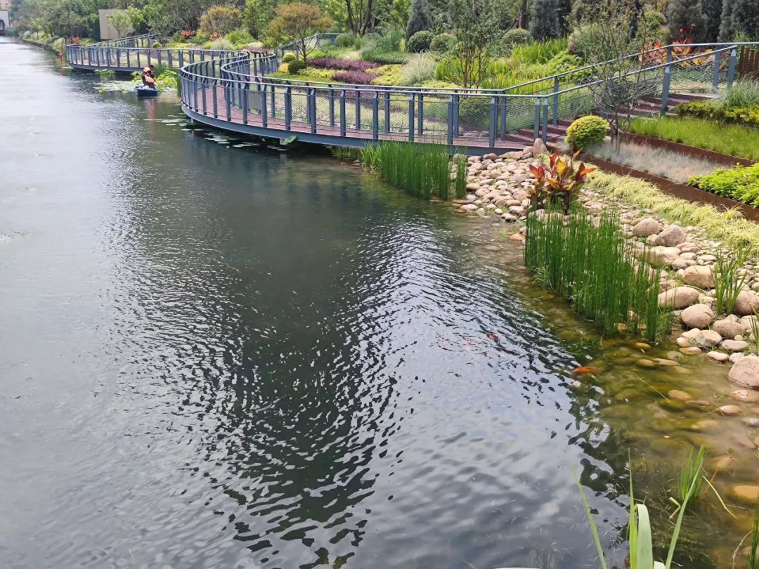 新建了河道亲水平台,对沿河绿化景观进行了改造,河道面貌又有了进一步