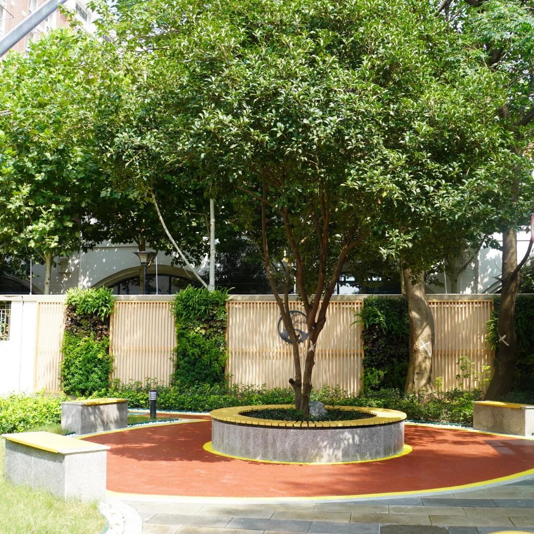 长宁这个老小区经过精品化改造,居民现在推开门窗就能"森呼吸"!