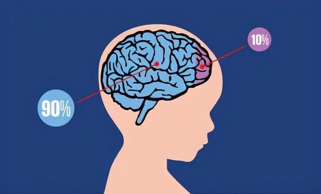 人的大腦只開發了10%?真相是這樣嗎?