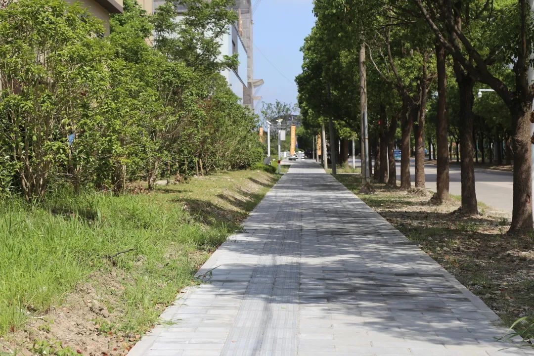 街道职能部门  现场实地勘查后  决定在道路两侧绿化带内  增设人行道