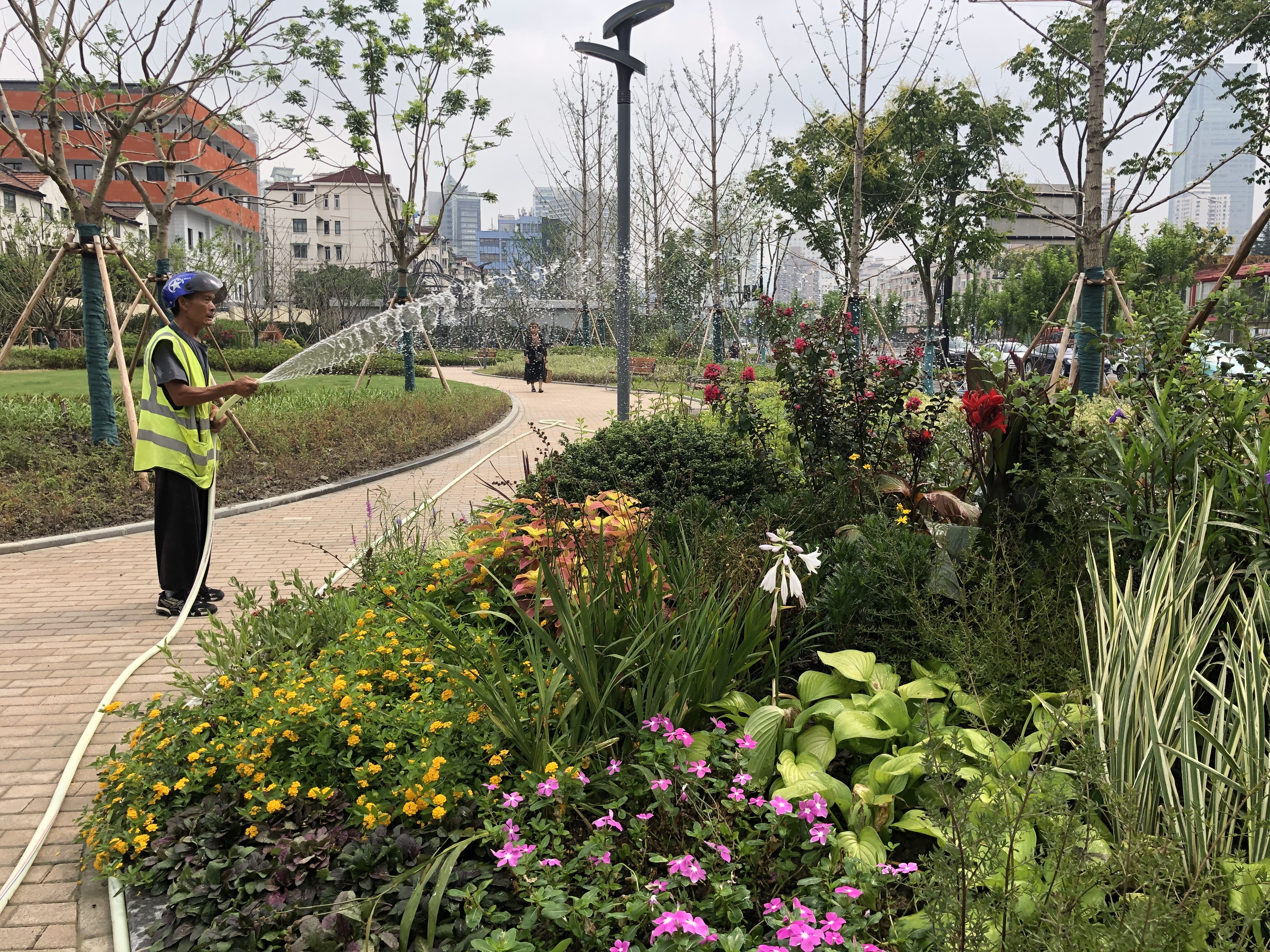 紫薇盛放静安这处街心花园你打卡了吗