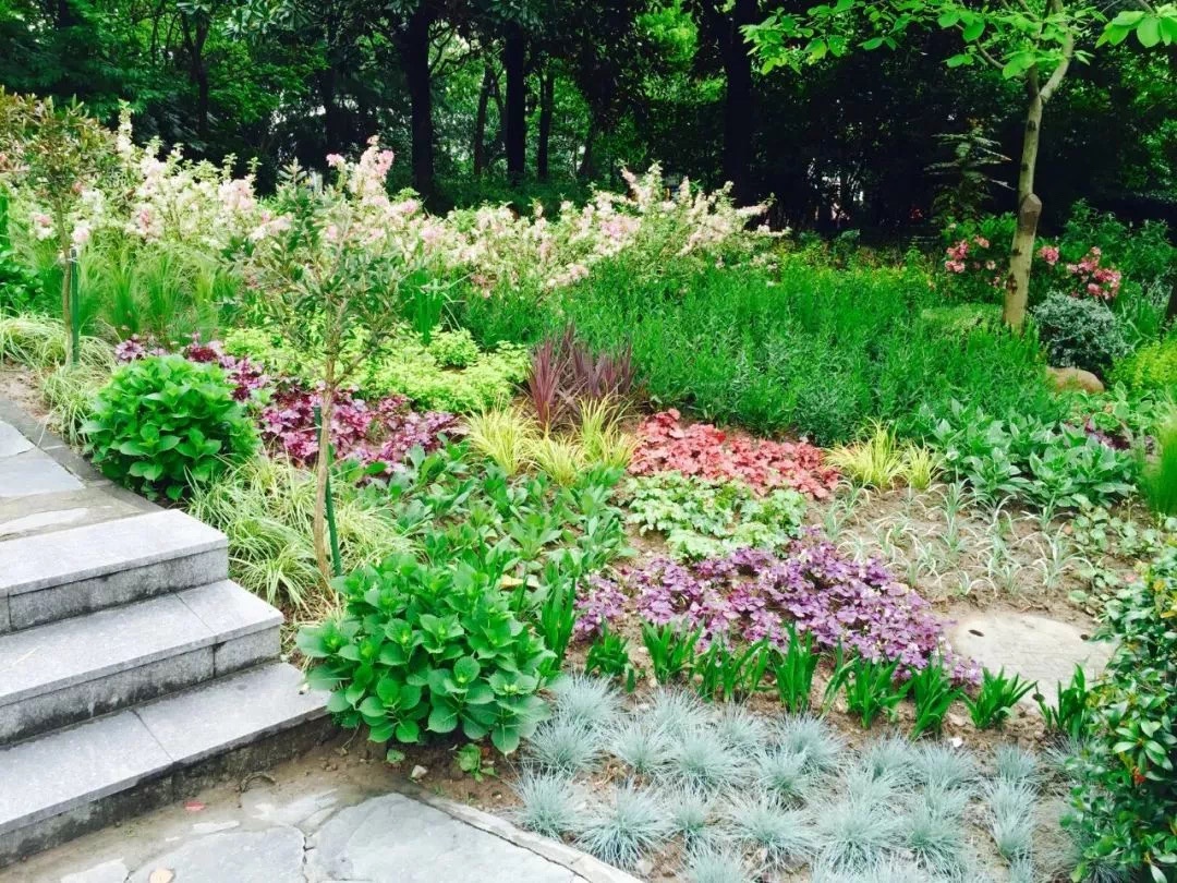 浦东豆香园竟来了一位"外星人",还会帮忙打扫公园?