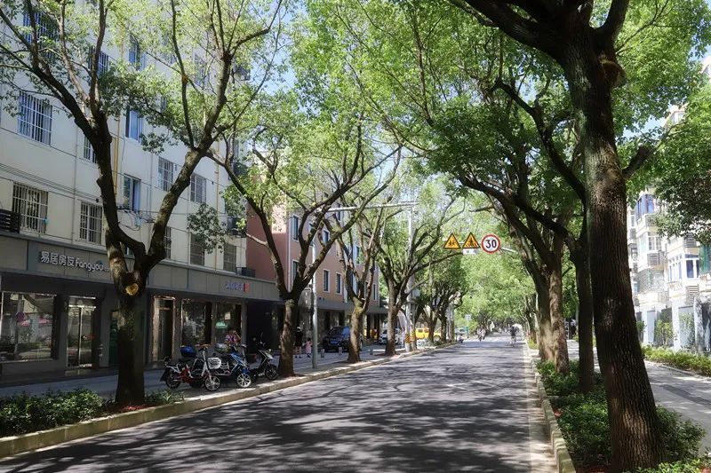 重阳木-水泉路 (富平路-富水路)