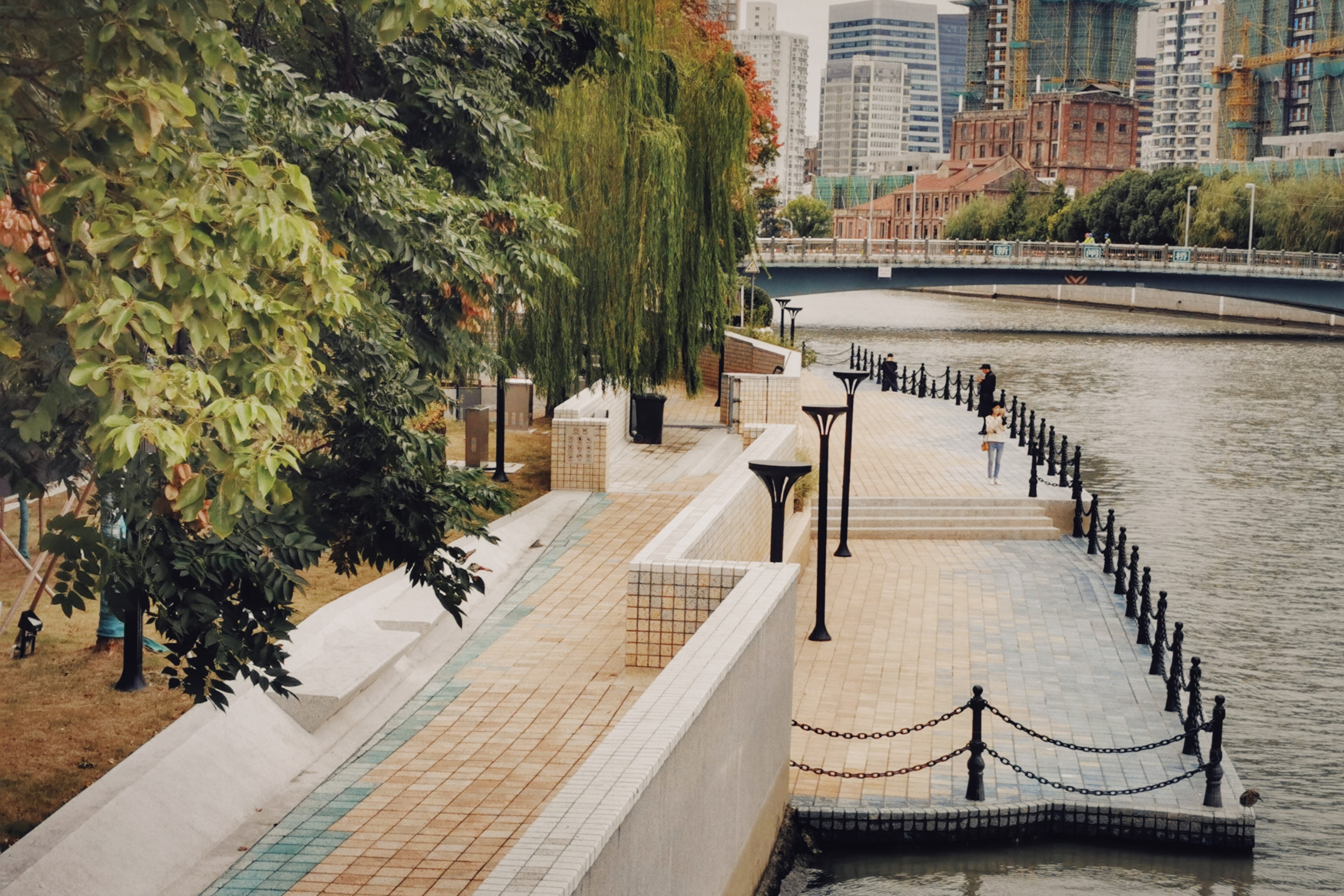 畅游苏河湾① | 飞鸟亭:不只是苏州河畔的亭子