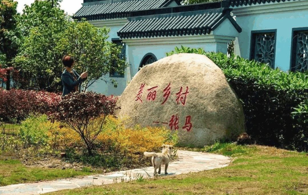 青浦这个村入选第三批全国乡村旅游重点村!