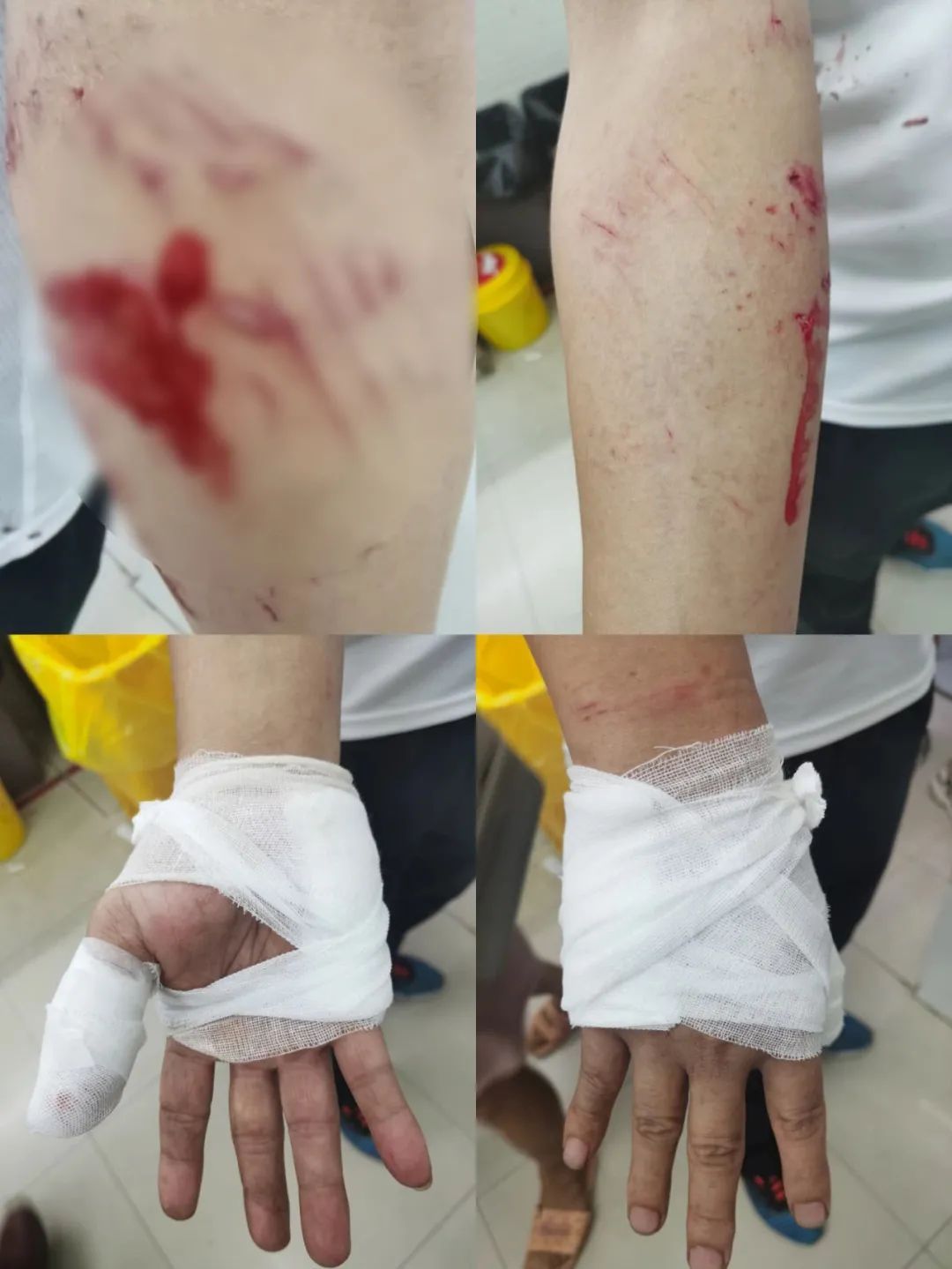 惊心动魄!这不是电影画面