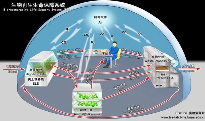的物质可在系统内循环再生,并为乘员提供类似于地球生物圈的生态环境