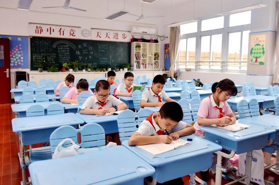 "双减"后,闵娃们开启了"放飞自我"的课后生活,有图有真相