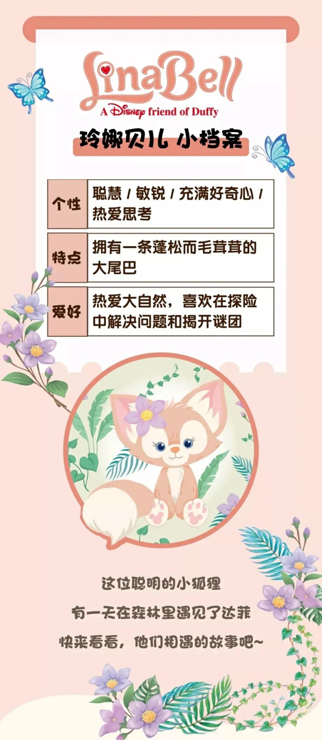 达菲家族名称图片