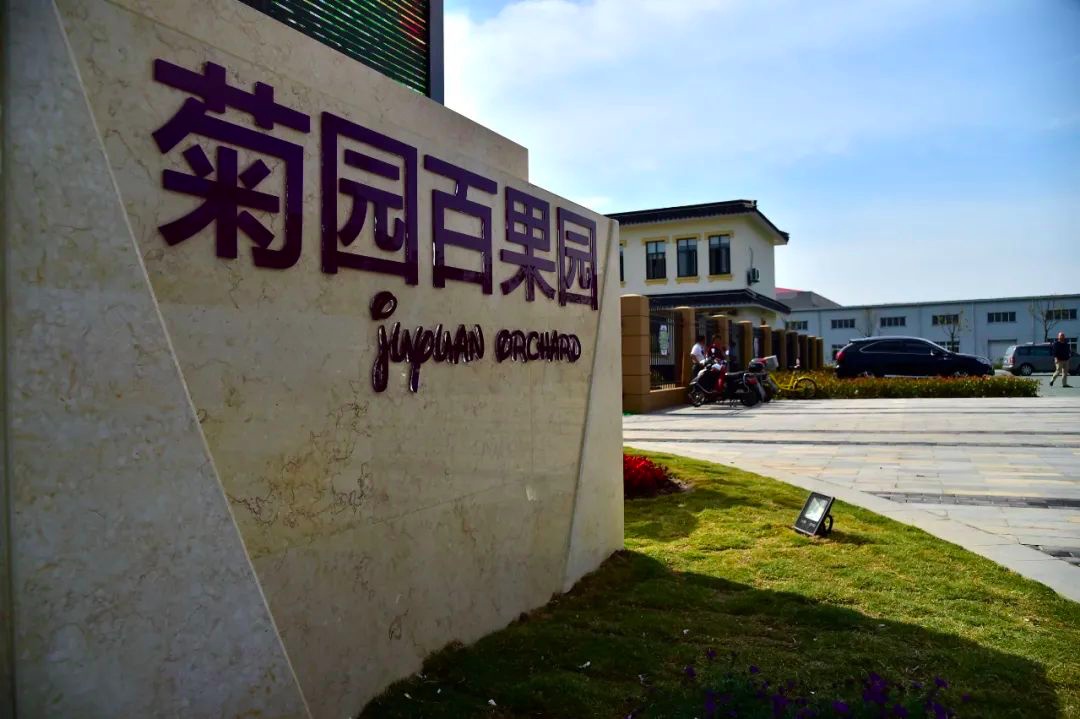 9月25日,"庆丰收 · 感党恩"——2021中国农民丰收节暨菊园百果园第五