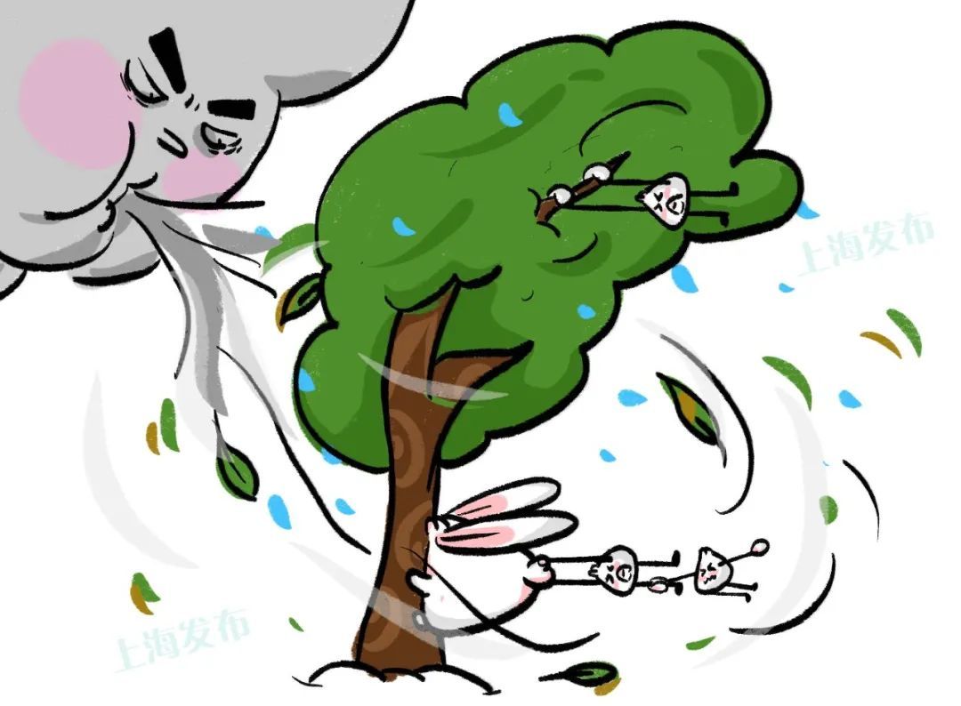 【天气】崇明发布大风蓝色预警_上观新闻