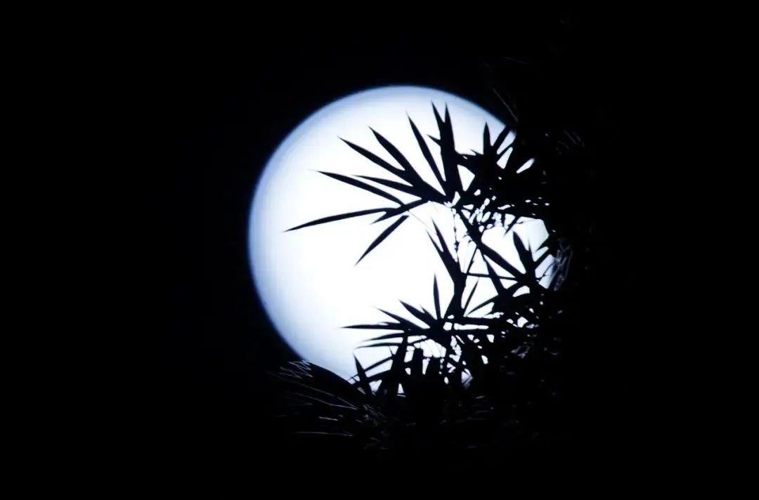 中秋月夜美图来啦!快来共赏"花好月圆"!