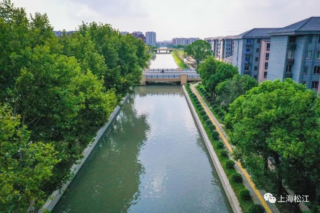 河紧邻居民区,原本臭味难闻,水草丛生的河道,如今摇身一变成了景观河