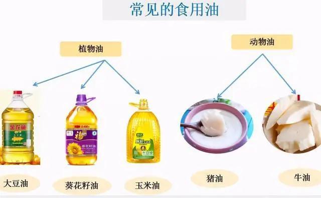 植物油烧菜会产生致癌物质 动物油脂更健康 破除食用油七大谣言 上观新闻 植物油烧菜会产生致癌物质 动物油脂更健康 破除食用油七大谣言 上观新闻
