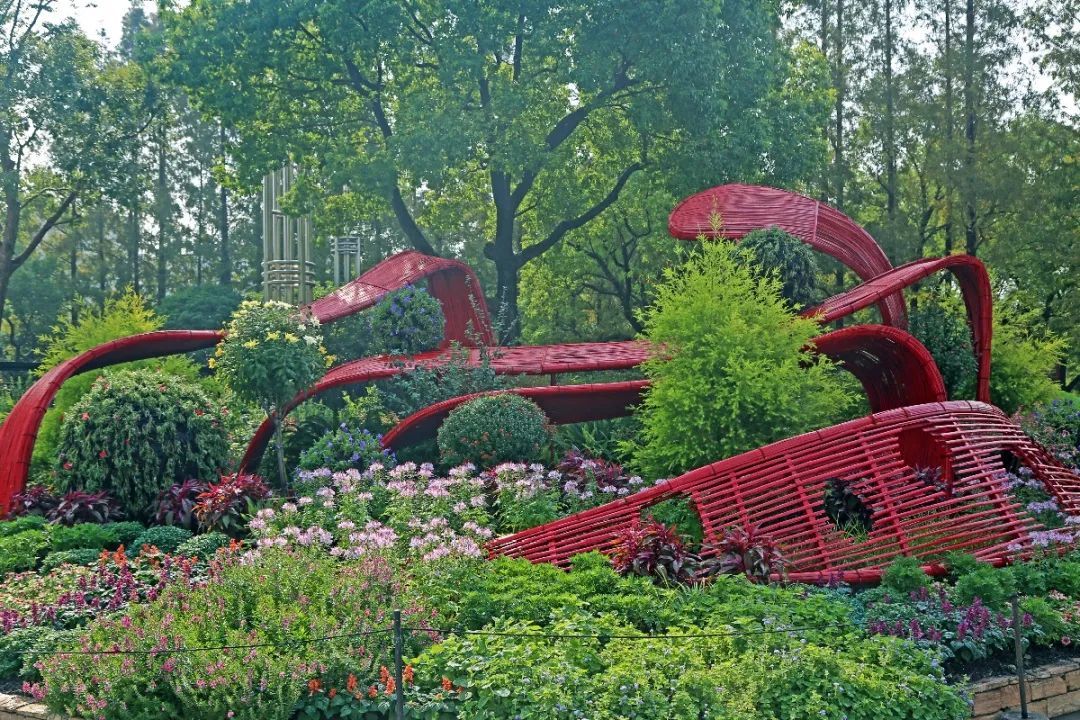 上海植物园秋季花展 | 10月1日开幕,与你一同捕捉秋天的影子