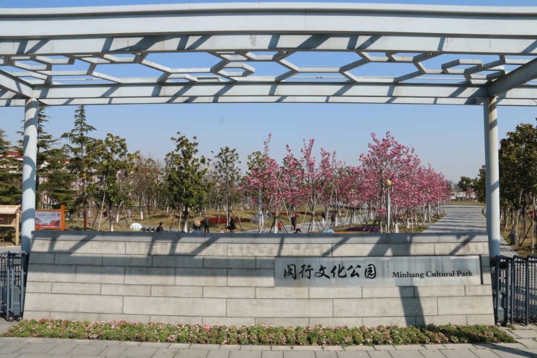 环城生态公园③ | 何处寻"市花",那就来闵行文化公园吧