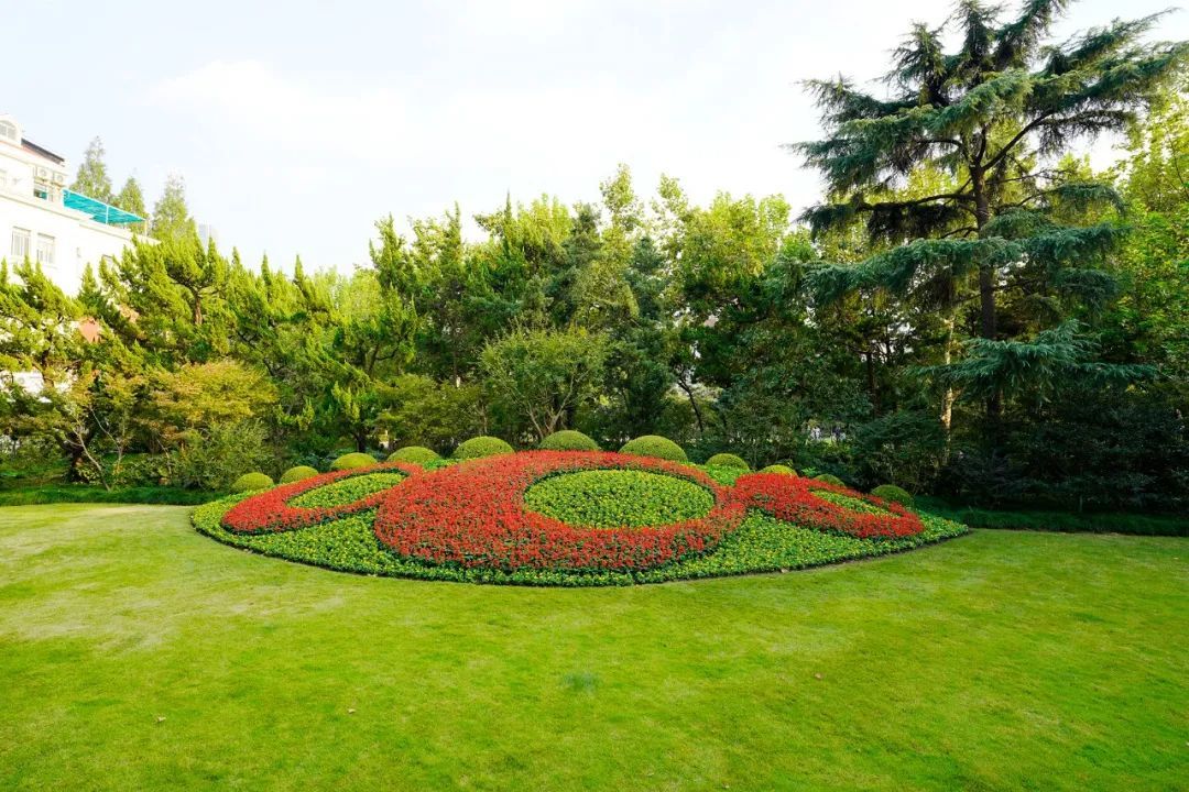 曹杨公园花坛:圆满