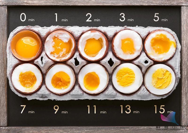 红皮鸡蛋比白皮的更有营养?真相是