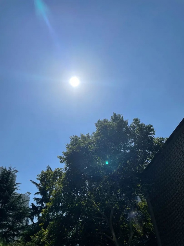 申城今天晴好天气继续 早晨凉爽舒适 白天晴空万里 艳阳高照  最高