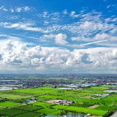 足不出沪来幸福小镇走走吗