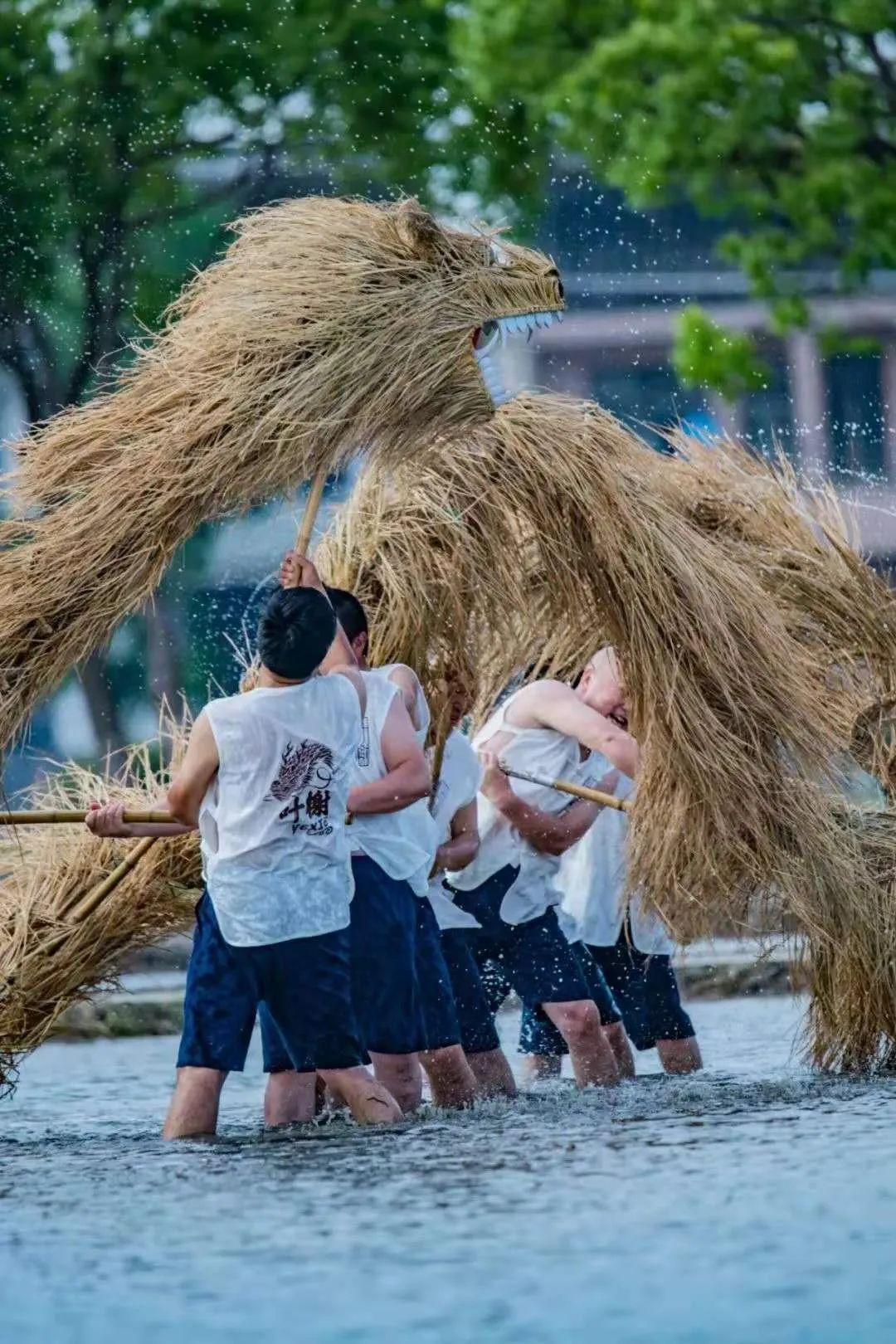 走进"上海民间文化艺术之乡",感受浦南小镇"舞草龙"的历史文脉