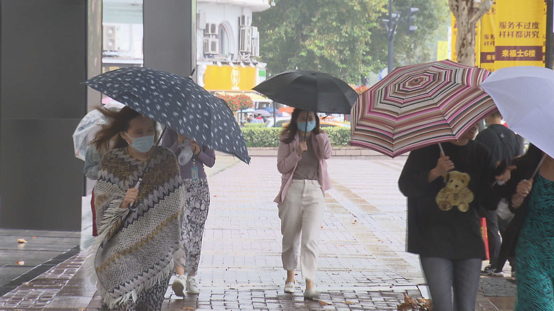 天气降温添衣保暖图片图片