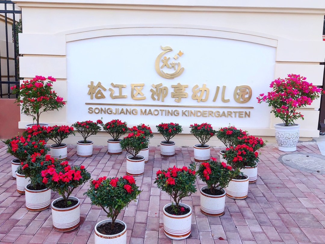 上海市松江区幼儿园介绍_松江区公建配套幼儿园_劲松公立幼儿园