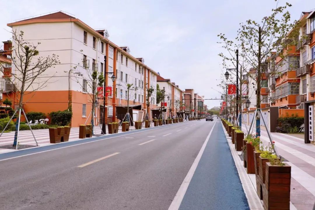 大变样!海湾镇海滨街再现农垦文化风貌