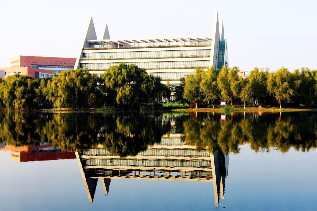 松江七校的秋景大赏!哪个最让你惊艳?