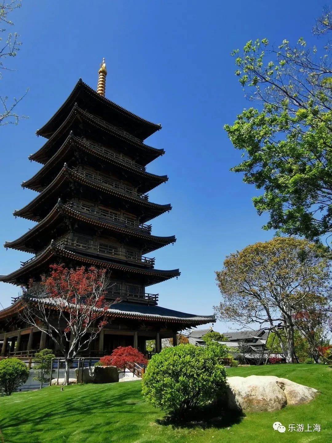 这个重阳节,陪着父母来宝山这些地方踏秋游玩吧