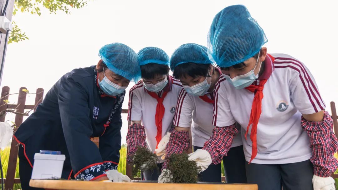 《苦草茶》,古箏與朗誦《苦草賦》……活動開幕式之後,東門中學120名