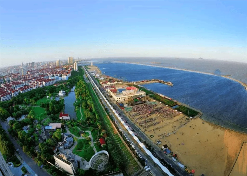 国际商务区江海河空铁联运新平台金山区域联动未来势不可挡